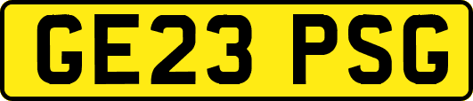 GE23PSG