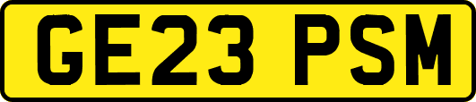 GE23PSM