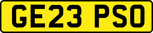 GE23PSO