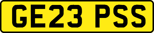 GE23PSS