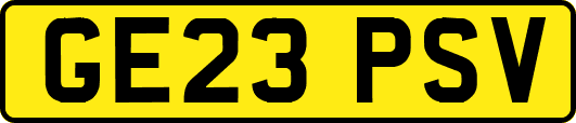 GE23PSV