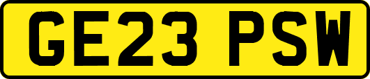 GE23PSW