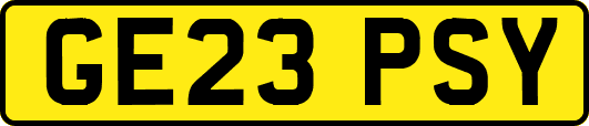 GE23PSY