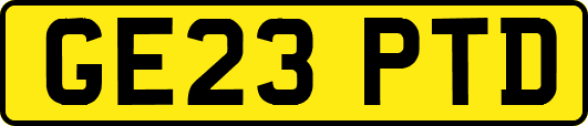 GE23PTD