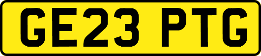 GE23PTG