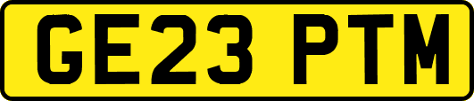 GE23PTM