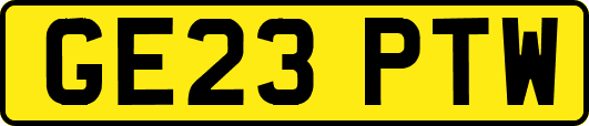 GE23PTW
