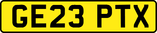 GE23PTX