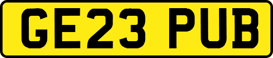 GE23PUB