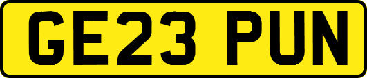 GE23PUN