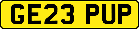 GE23PUP