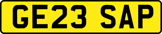GE23SAP