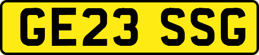 GE23SSG