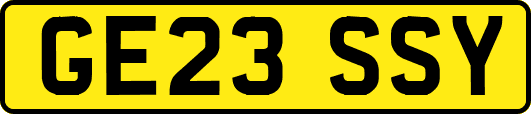 GE23SSY