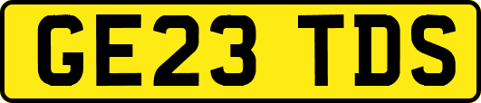 GE23TDS
