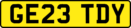 GE23TDY