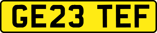 GE23TEF