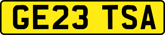 GE23TSA