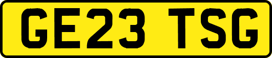 GE23TSG