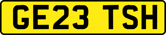 GE23TSH
