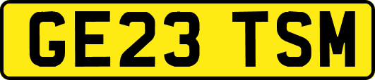 GE23TSM