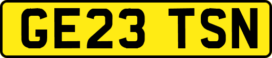 GE23TSN