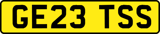 GE23TSS