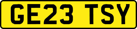 GE23TSY