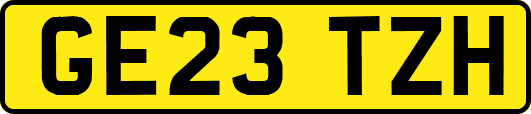 GE23TZH
