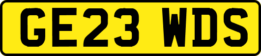 GE23WDS