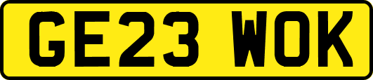 GE23WOK