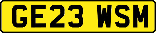 GE23WSM