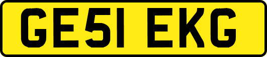 GE51EKG
