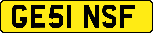 GE51NSF