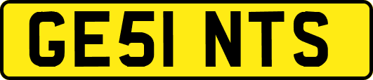 GE51NTS