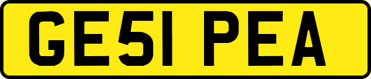 GE51PEA