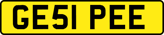 GE51PEE