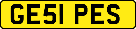 GE51PES