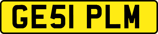 GE51PLM