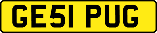 GE51PUG