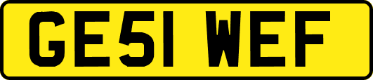 GE51WEF