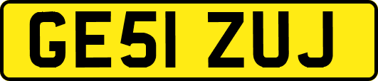 GE51ZUJ
