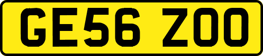 GE56ZOO