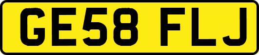 GE58FLJ