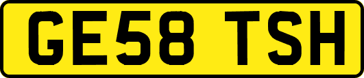 GE58TSH