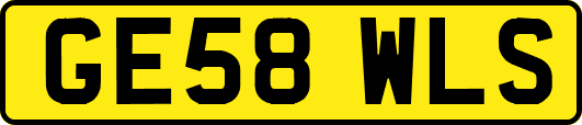 GE58WLS
