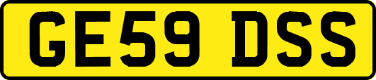GE59DSS