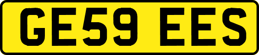 GE59EES
