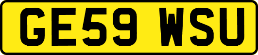 GE59WSU