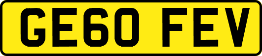 GE60FEV